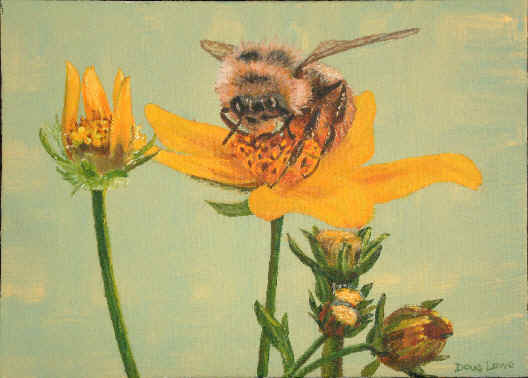 wpeB.jpg (20985 bytes)