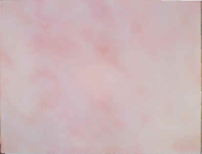 wpe12.jpg (5323 bytes)